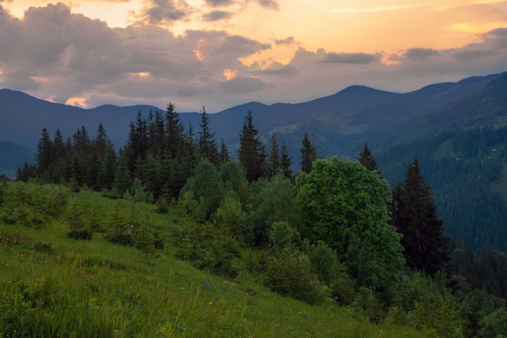 Северные Карпаты