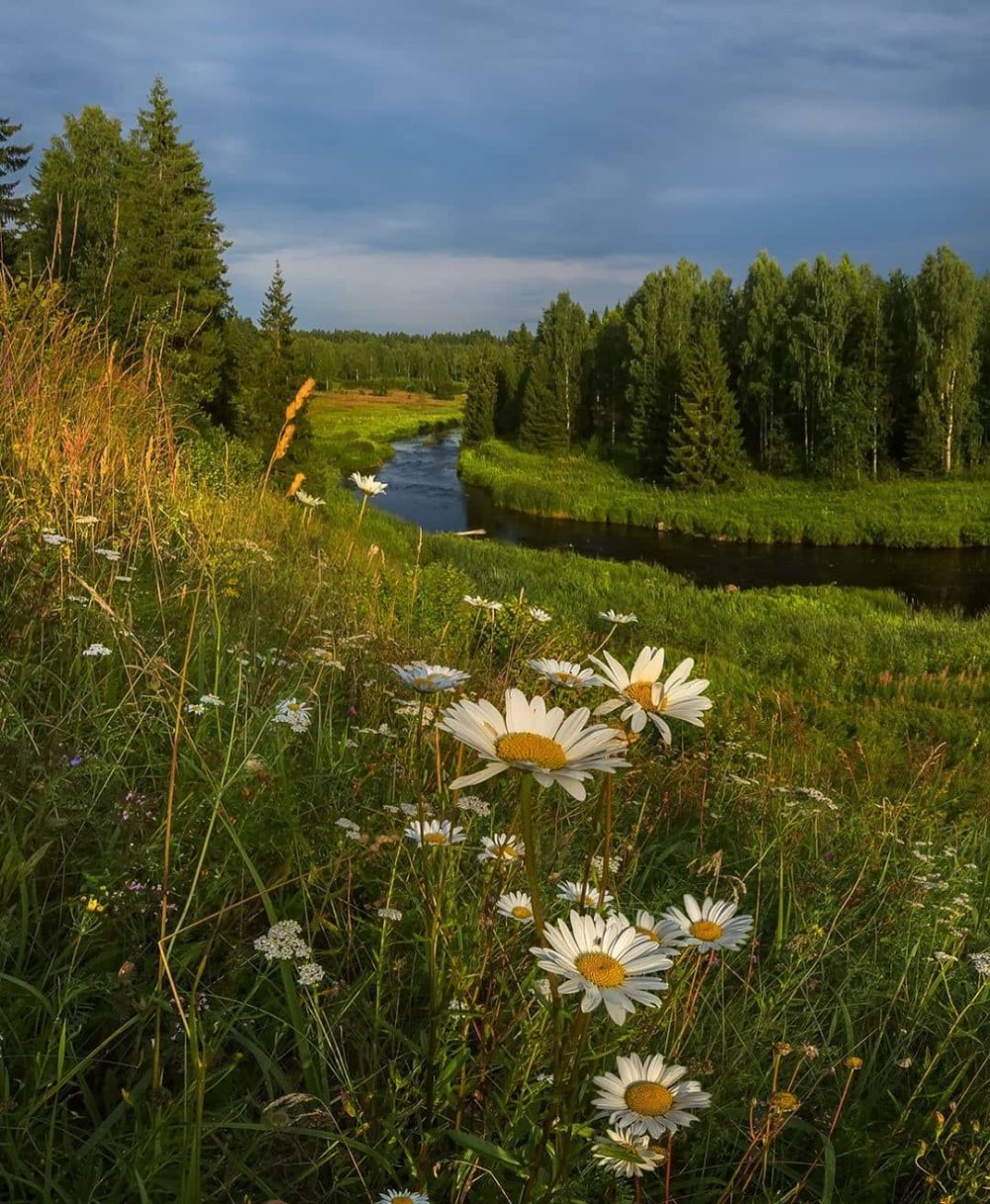 Красота русской природы