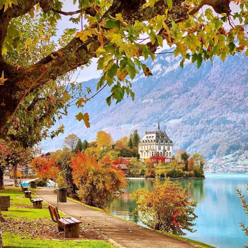 Осень Золотая Швейцария