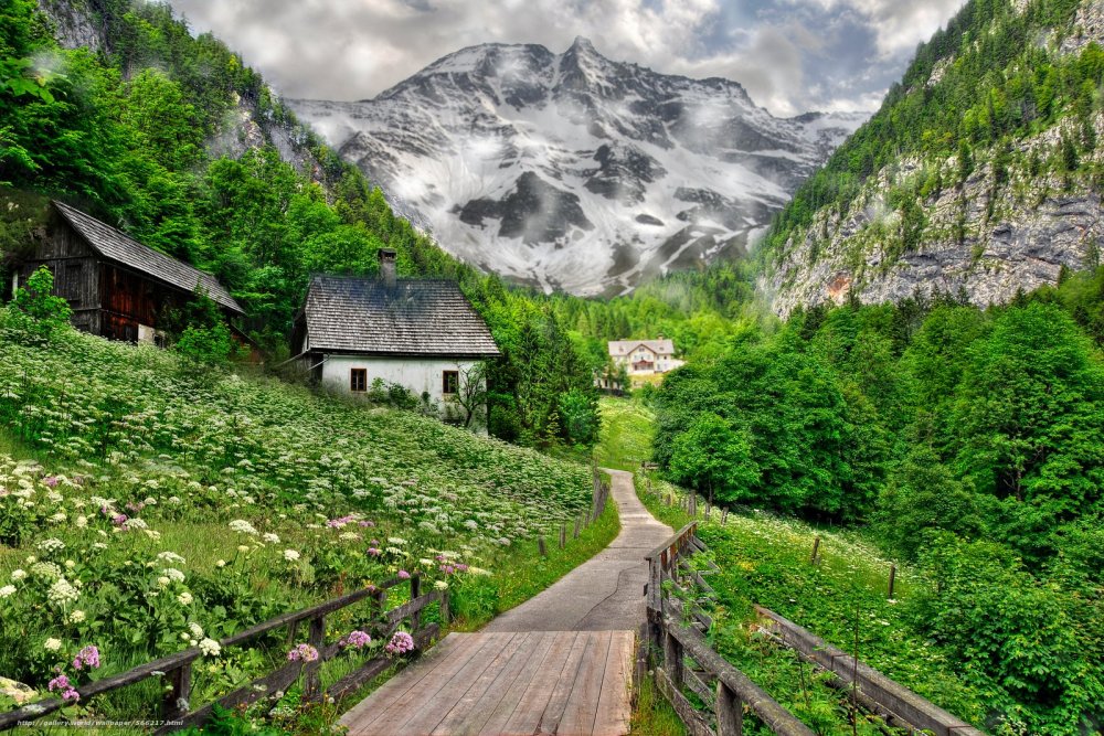 Валадилена швейцарские Альпы