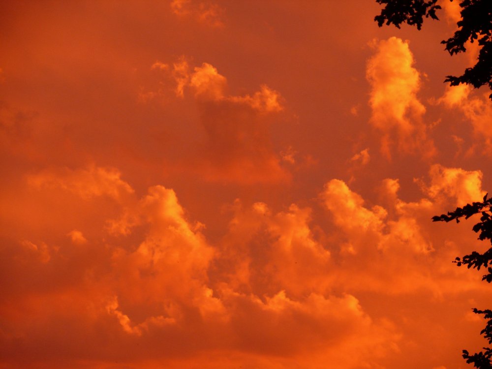Оранжевые облака