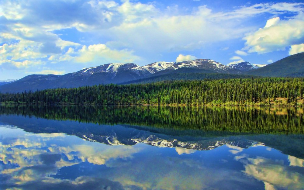 Лесное озеро панорама