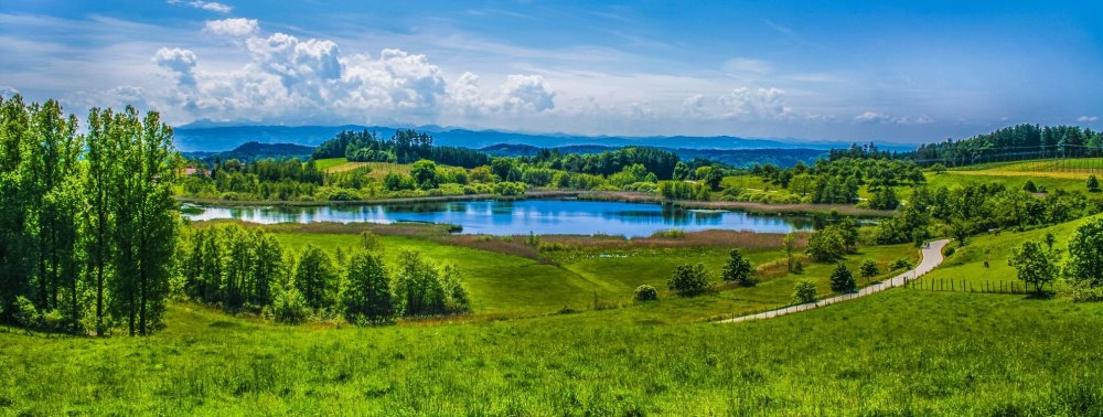 Панорама лесистые горы