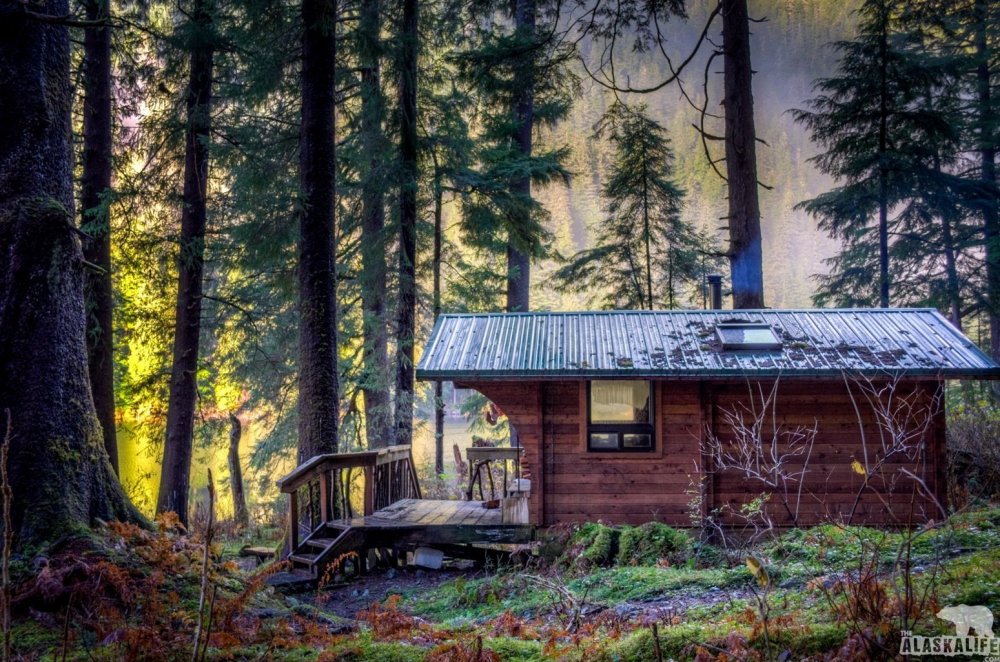 In the Cabin Woods Хижина в лесу Cabin