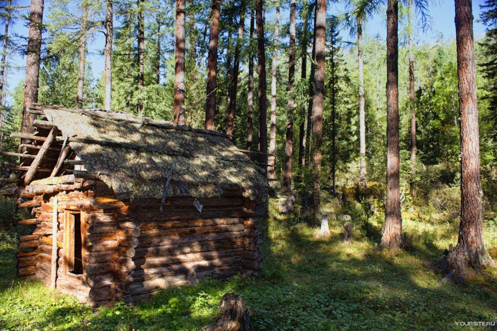 Лесная Хижина в тайге