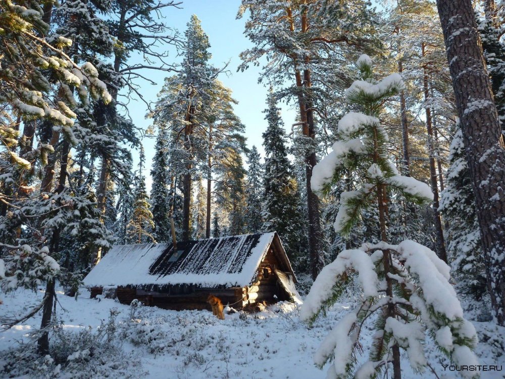 Таежная Заимка Карелия