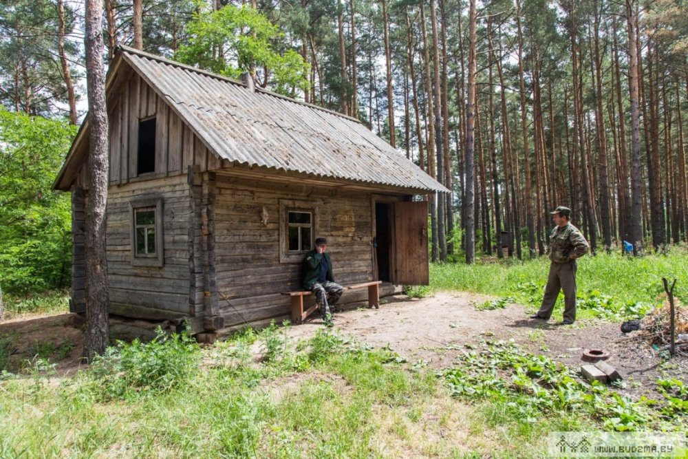 Тайга Хижина лесника