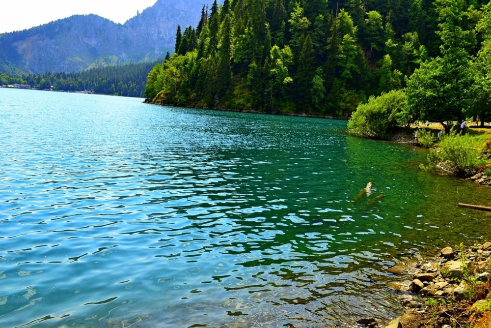 Озеро большая Рица Абхазия