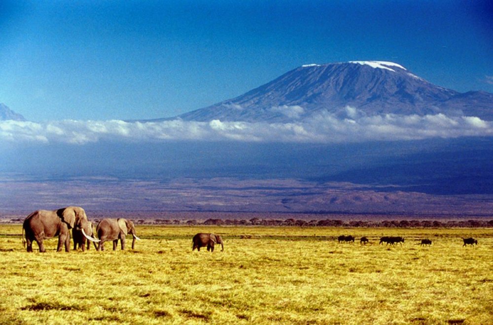 Гора Килиманджаро, Танзания, Афри