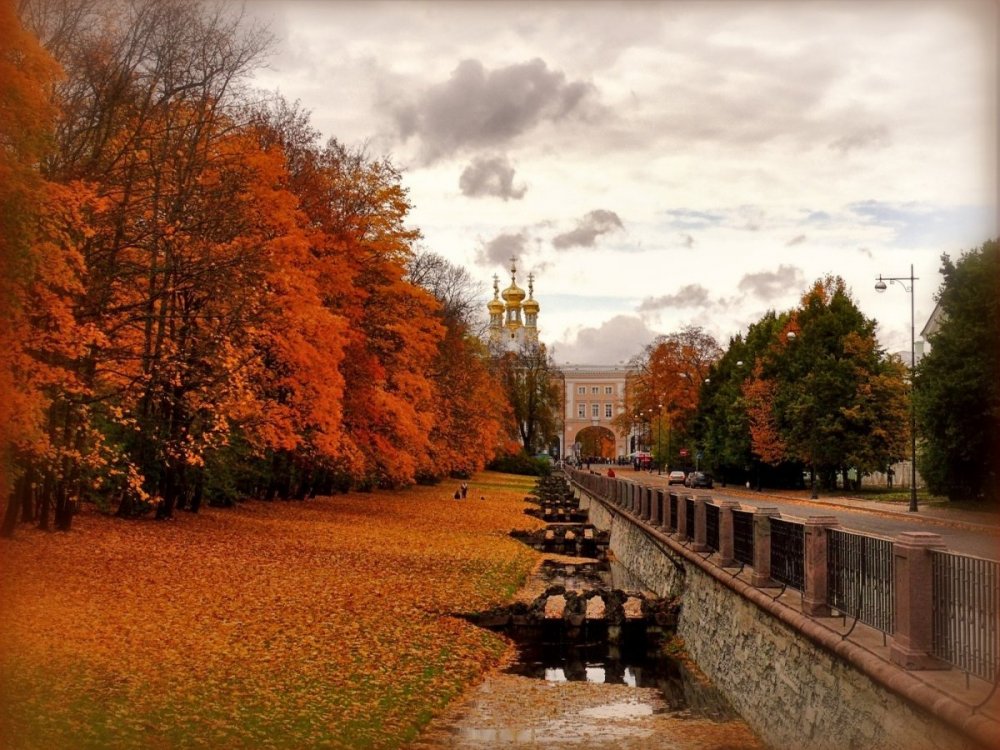 Царское село Золотая осень в Санкт-Петербурге