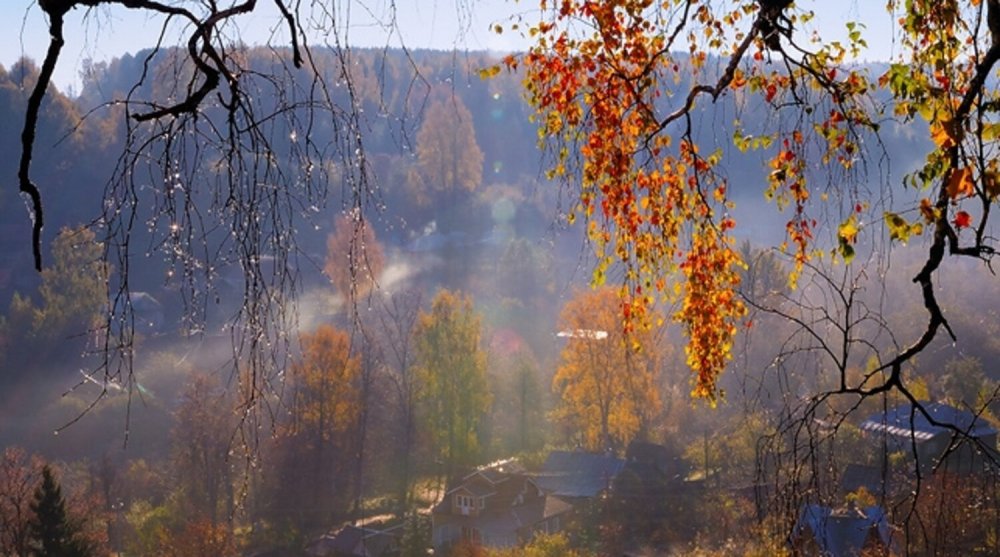 Осенний ливень