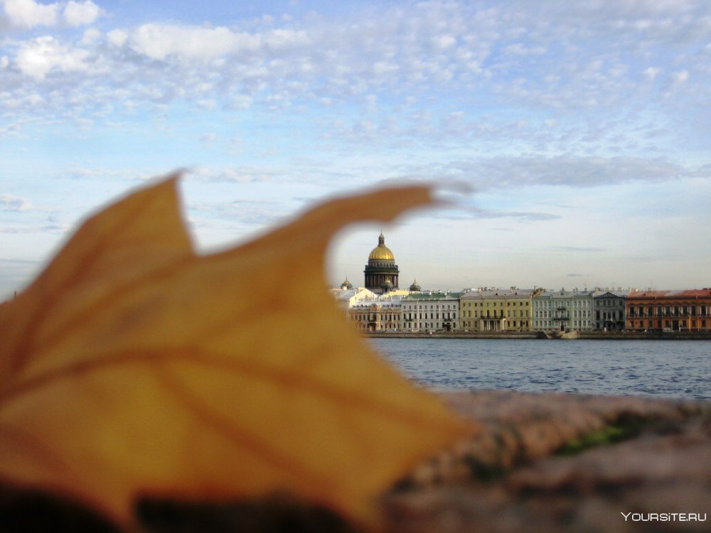 Петербург осень солнце