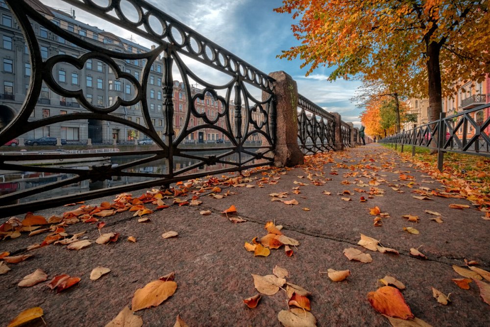 Золотая осень в СПБ Петроградка