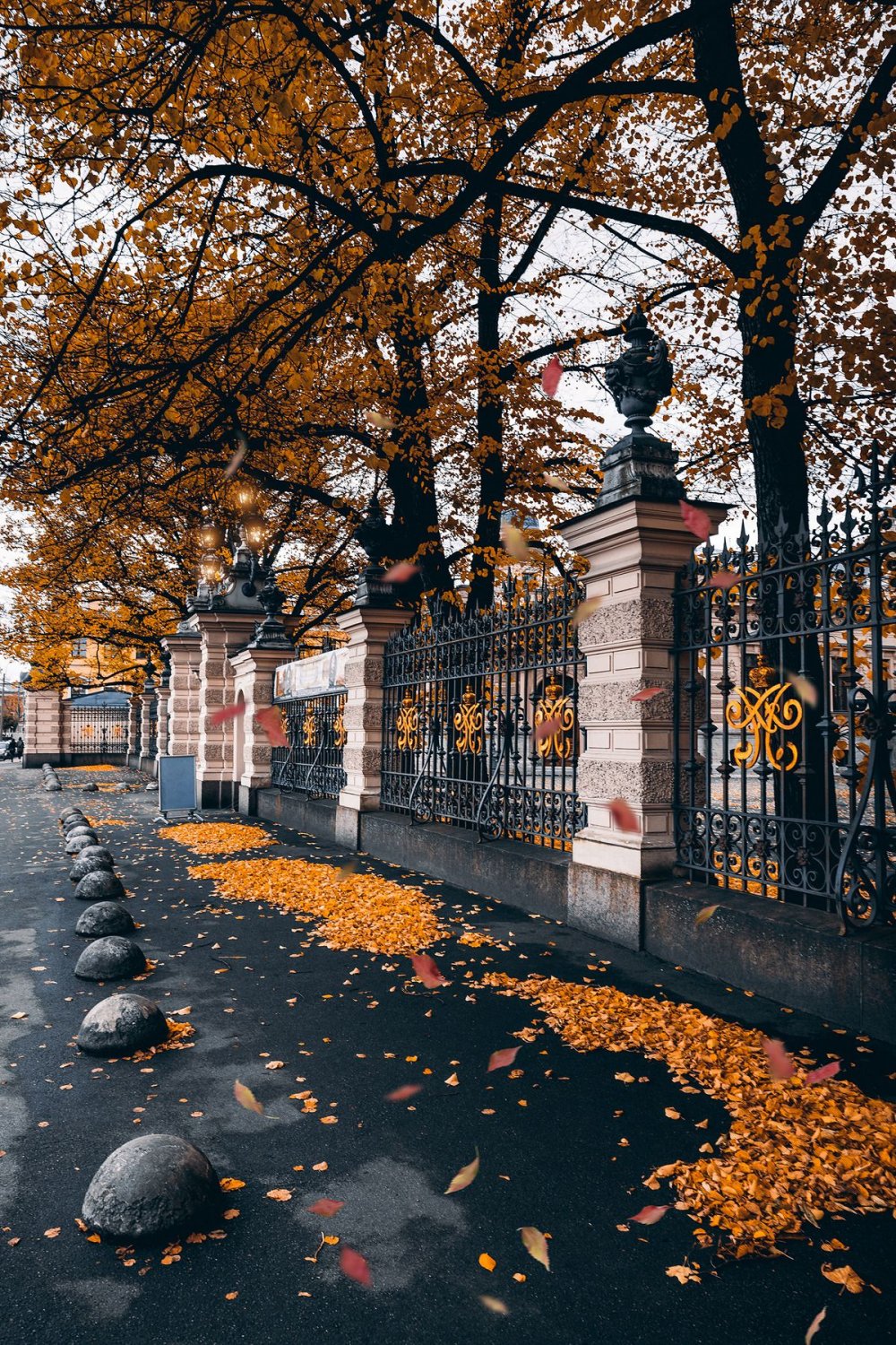 Осень в городе