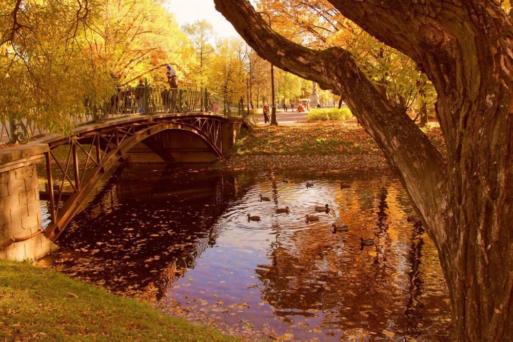 Осень в Санкт-Петербурге