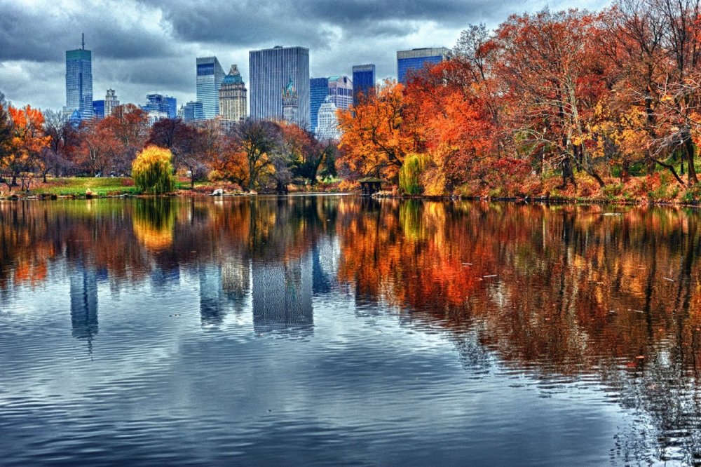 Осенний парк Нью Йорка
