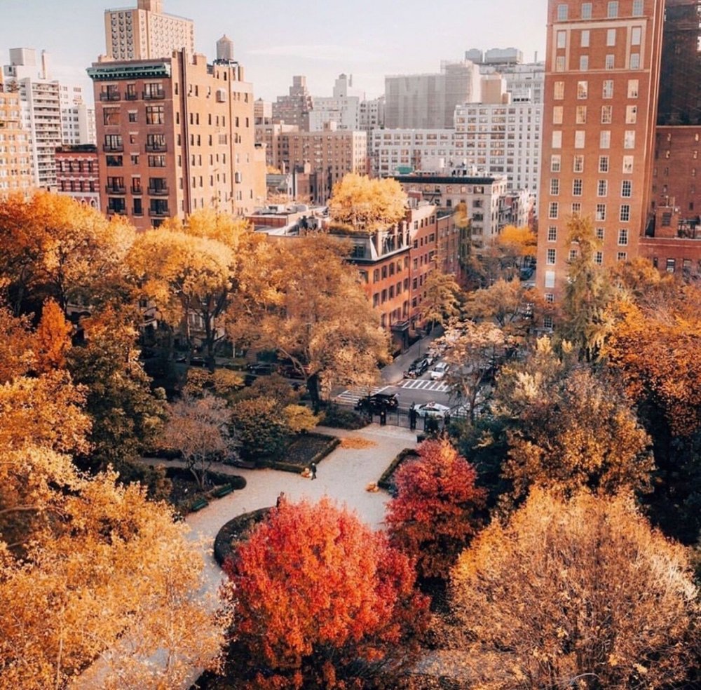 Осень в Нью-Йорке (autumn in New York)