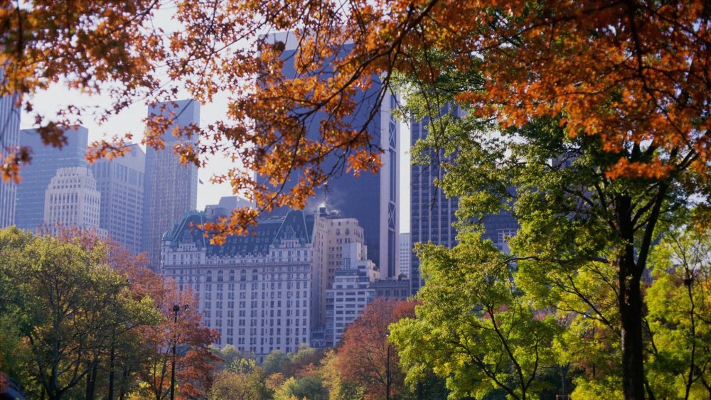 Осенний Центральный парк Нью-Йорка
