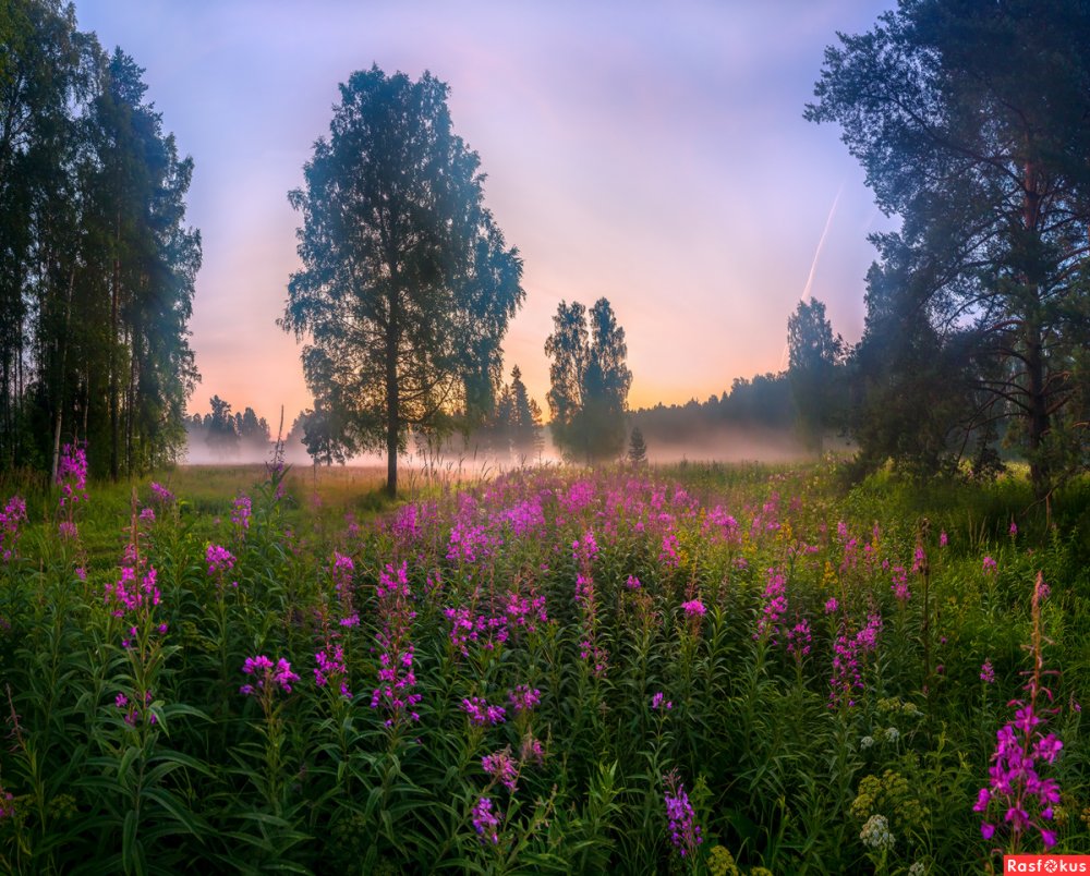 Пейзажи Федора Лашкова