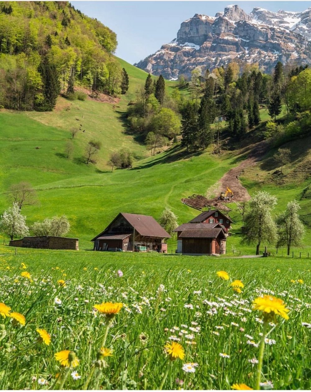 Аппенцелль Швейцария лето