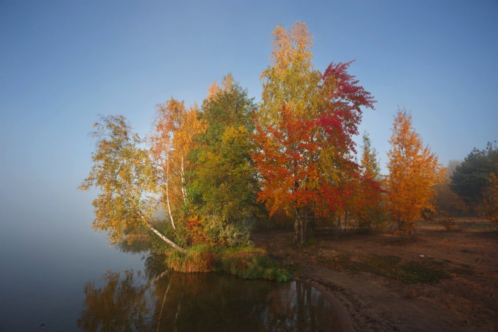 Осенние краски