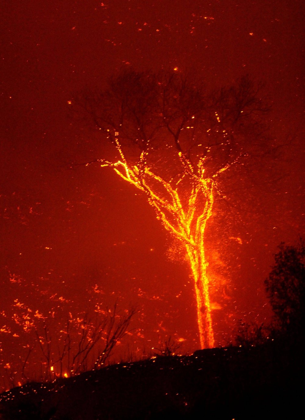 Мартин Ритц фото вулканической молнии