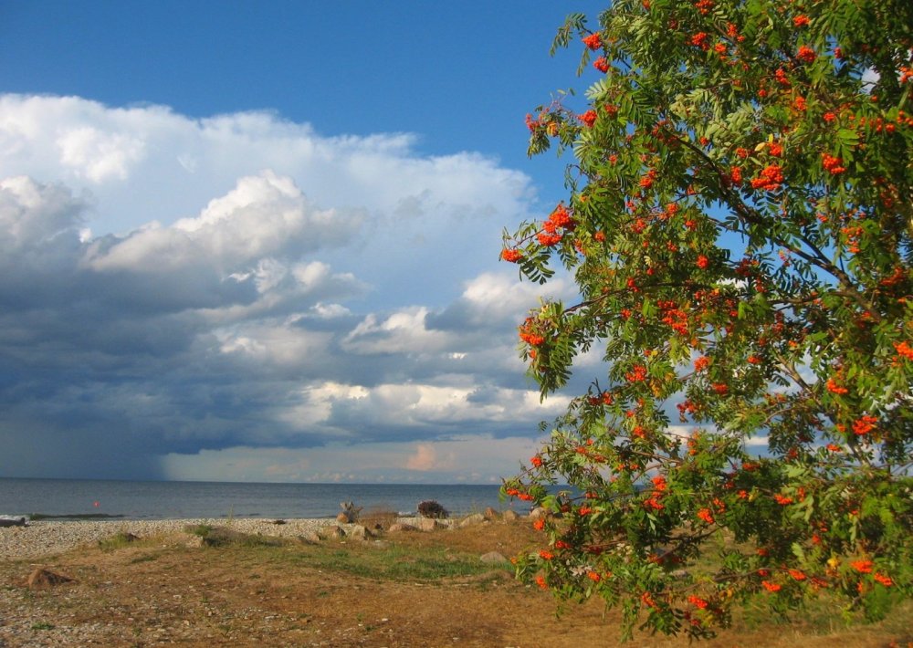 Месяц август