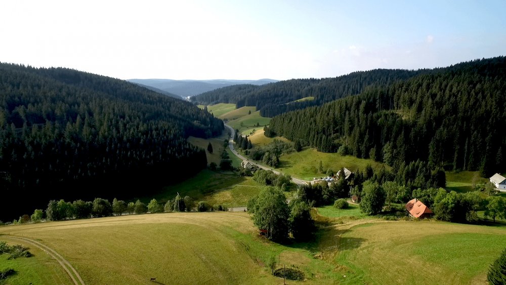 Тюрингский лес в Германии