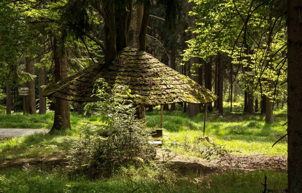 Нац парк баварский лес Германия