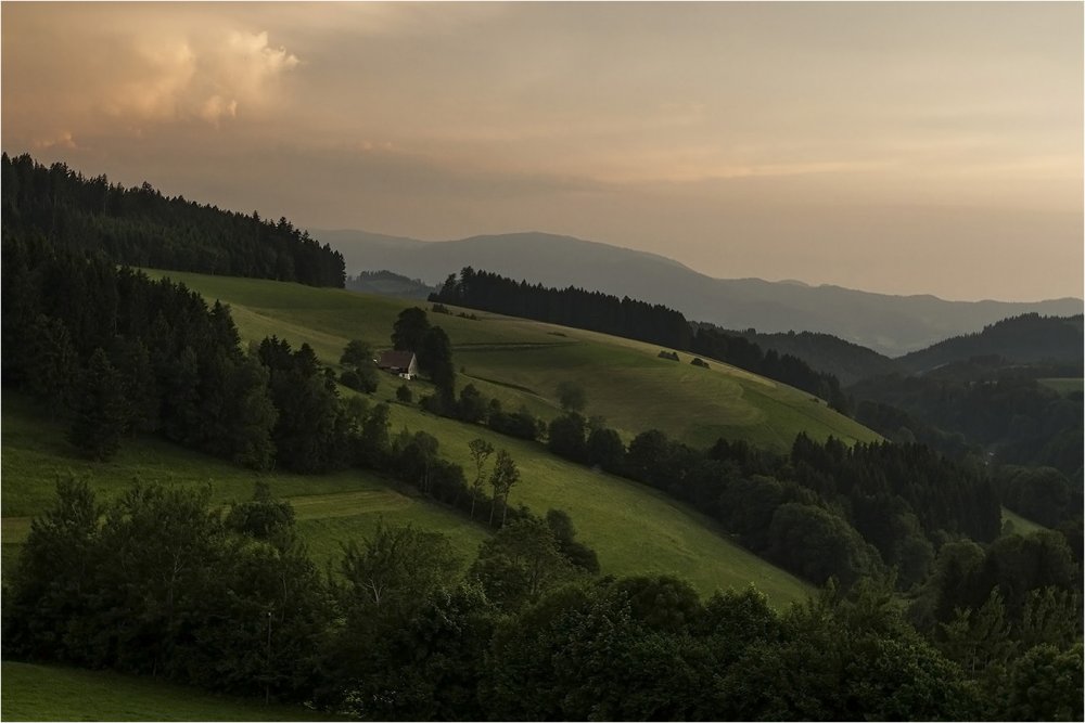 Лес Шварцвальд Германия