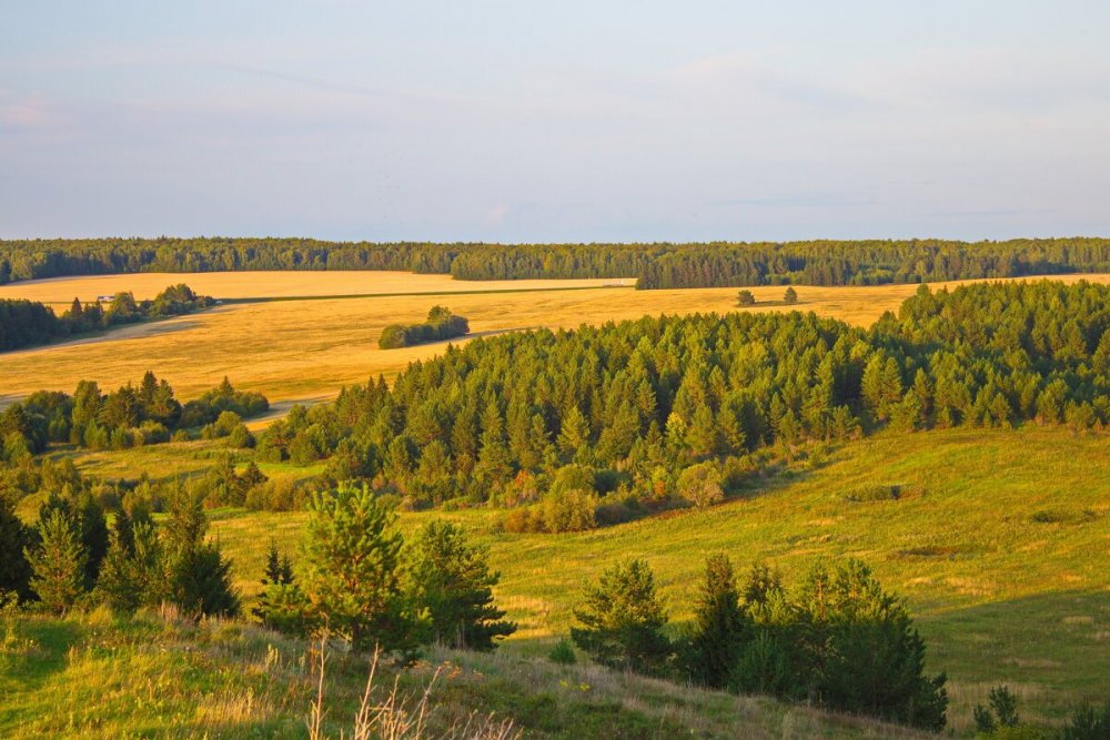 Покровская лесостепь