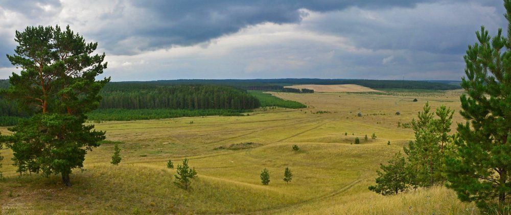 Хвалынский национальный парк Саратовская область