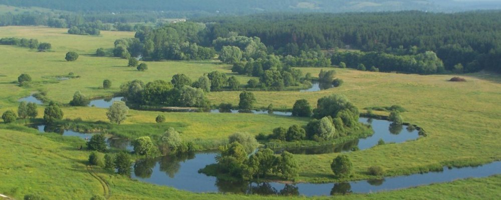 Лесостепь Белгородской области