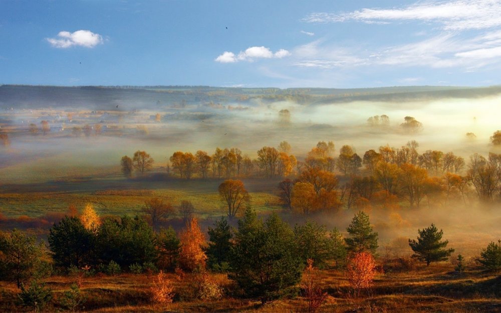 Осенний пейзаж панорама