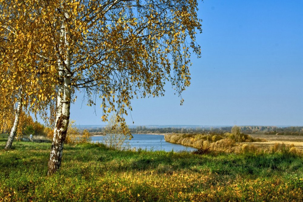 Рязанская область речка и Березки