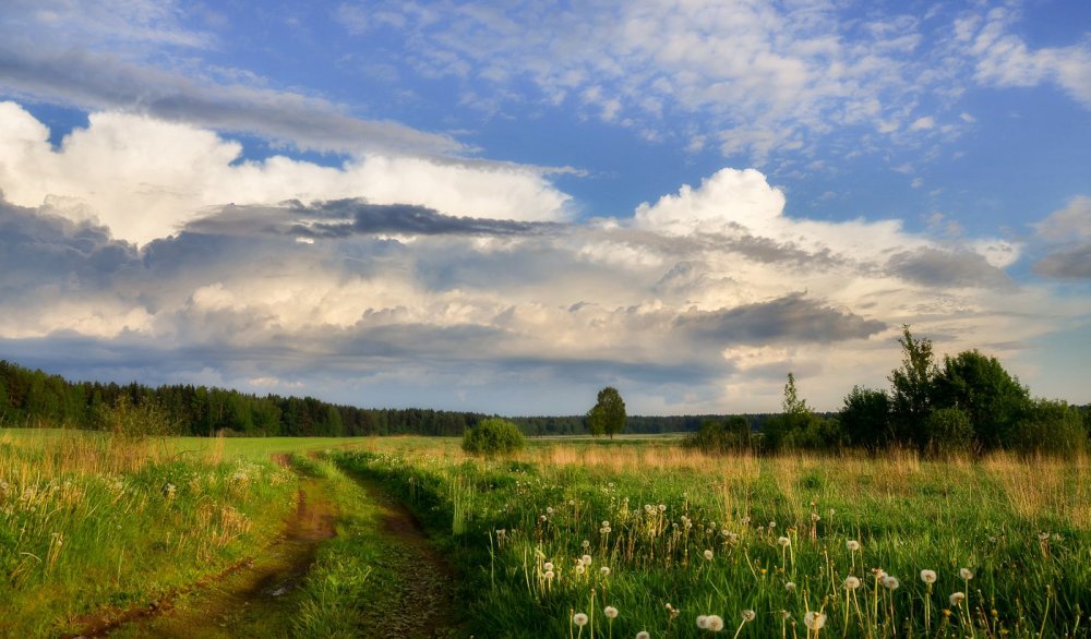 Красивые фото пейзажи природы Беларуси
