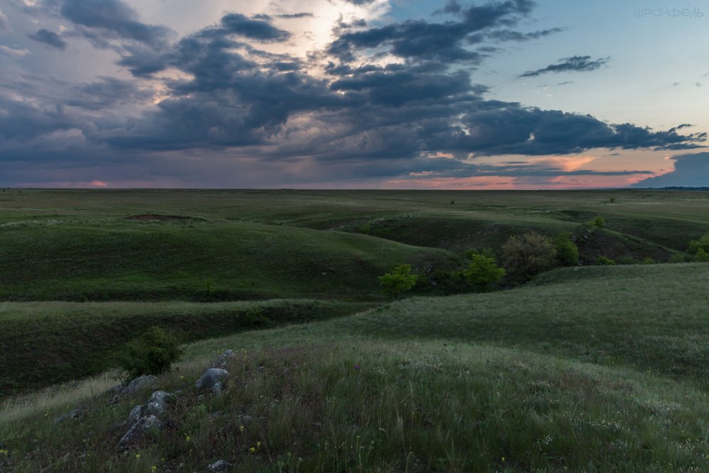 Сарозекская степь