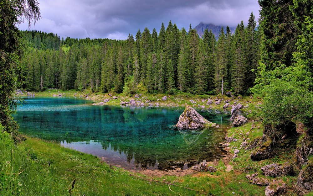 Лесное озеро (Forest Lake)