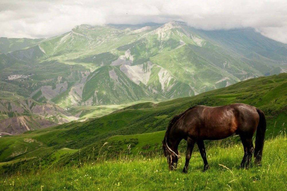 Горы Кавказа Кулинского района