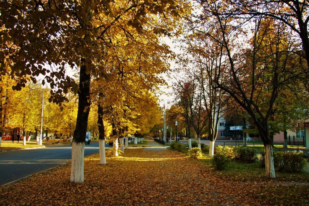 Осень в Железногорске Курской области