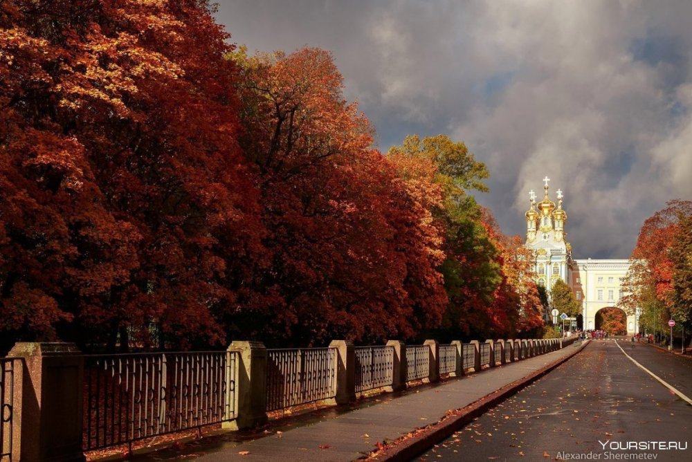 Пушкин Санкт Петербург осень