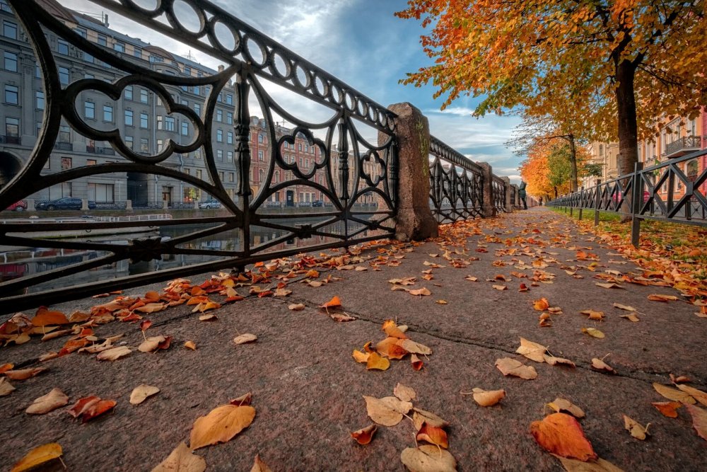 Улица Чайковского Санкт-Петербург осень