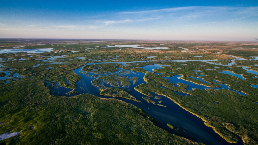 Дельта Волги Дельта Лены