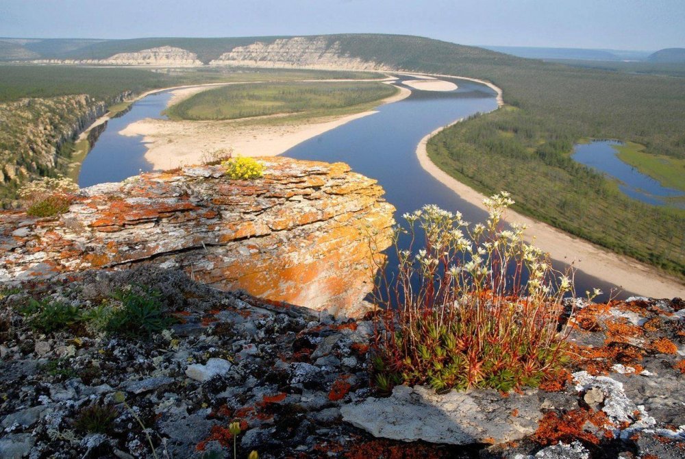 Дельта реки Лена