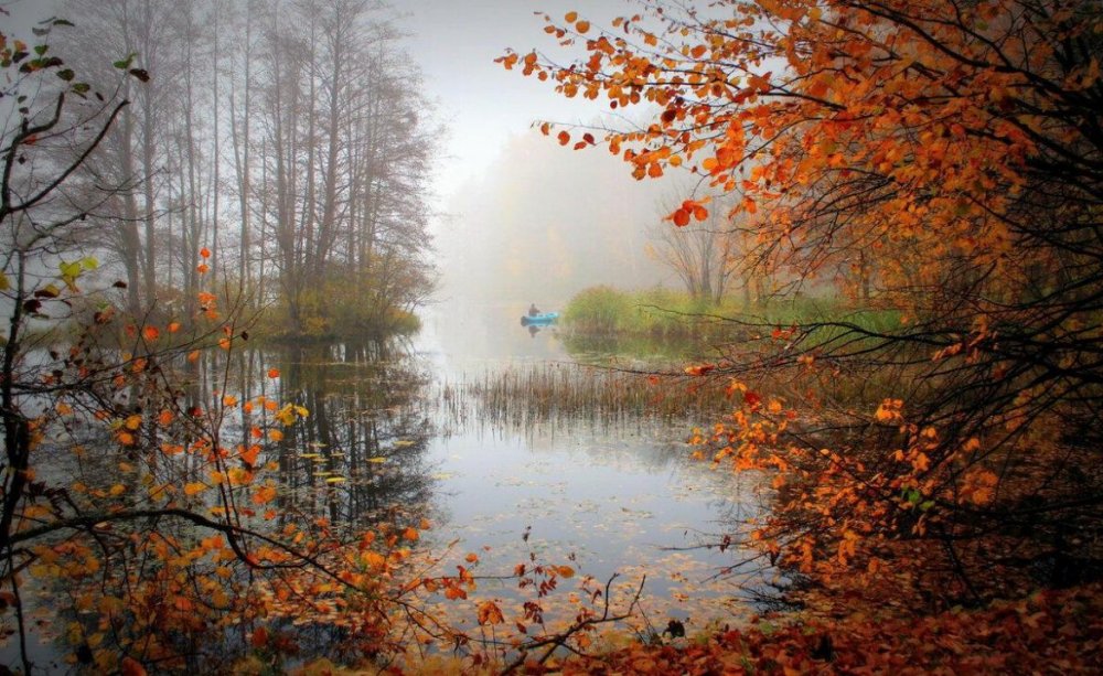Осенний пейзаж с водой