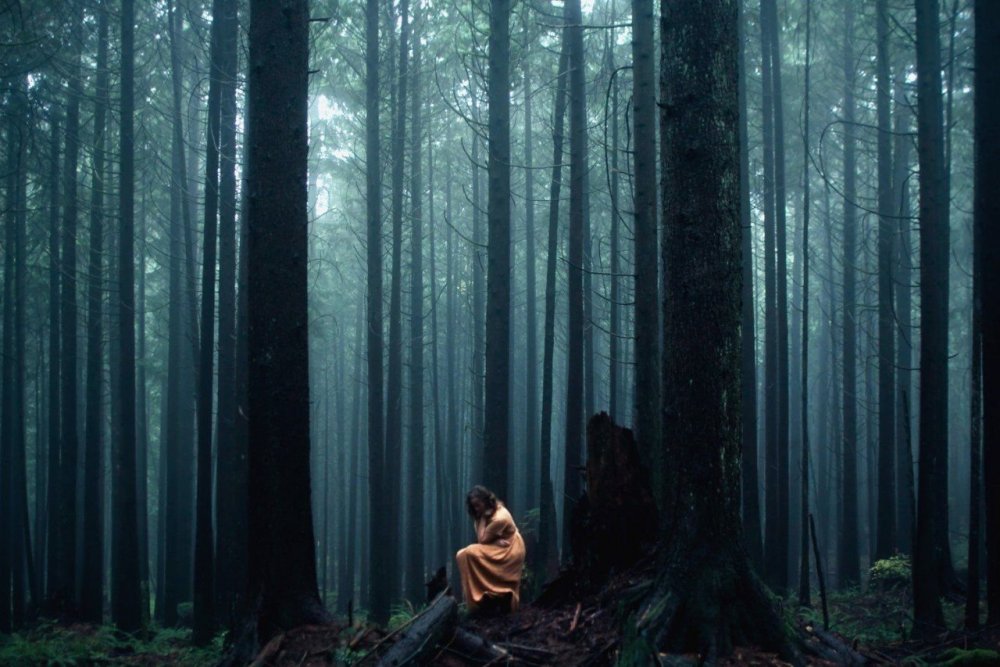 Elizabeth Gadd