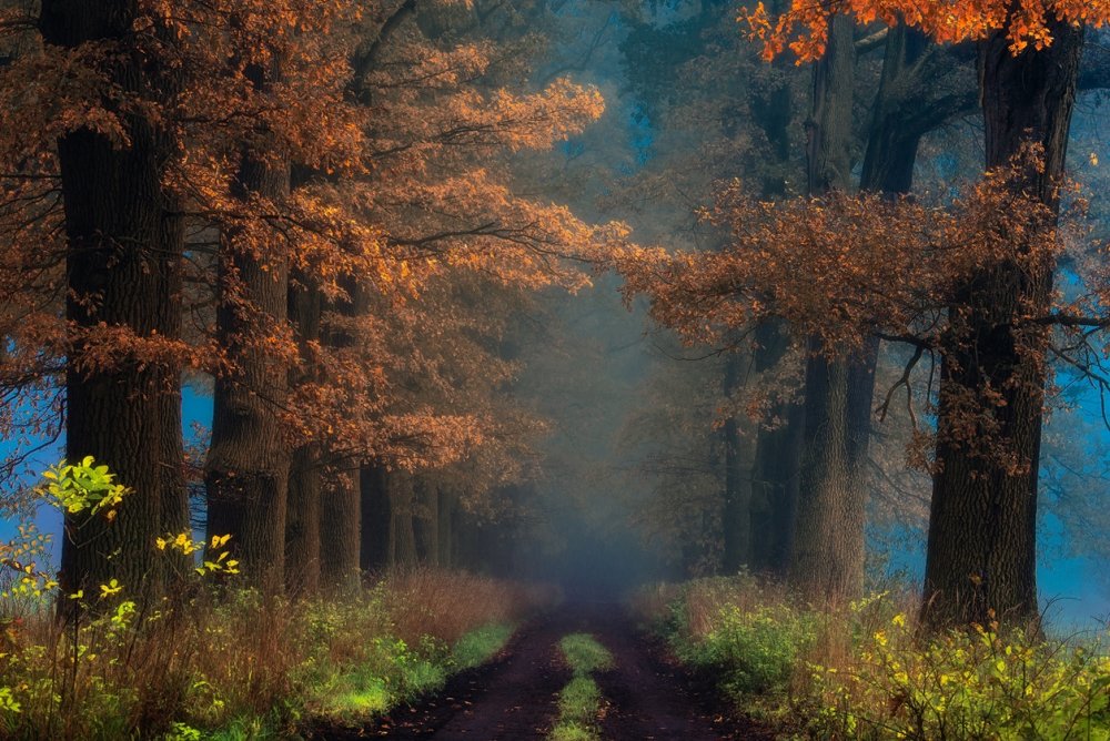 Фотограф Янек Седлар Janek Sedlar