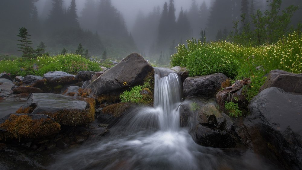 Лесной водопад