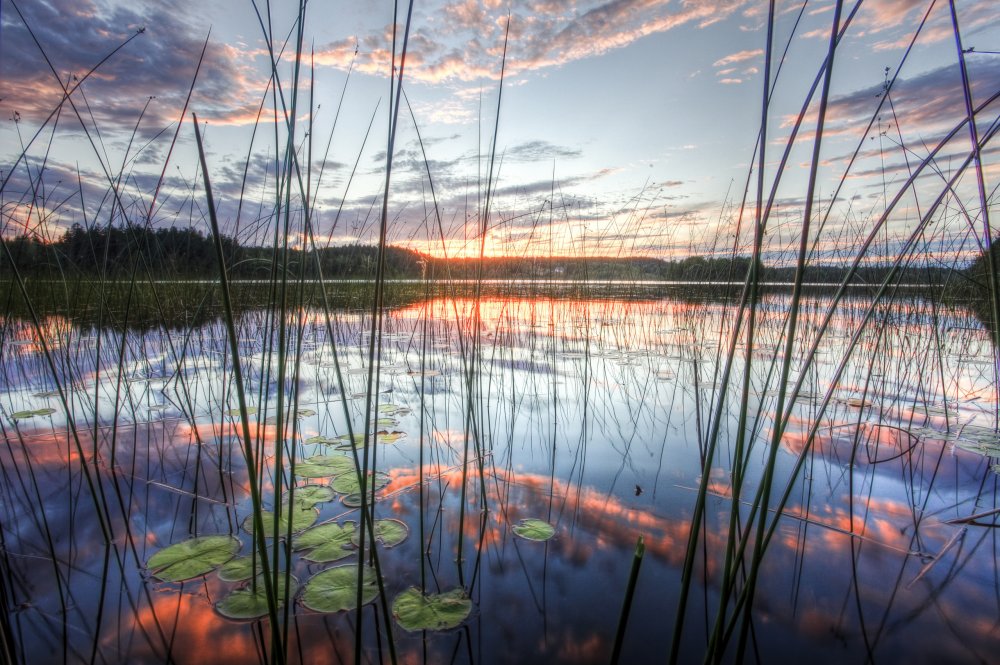 Отражение солнца в воде