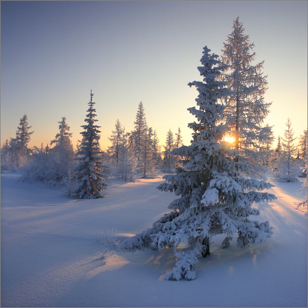 Зимнее утро на севере